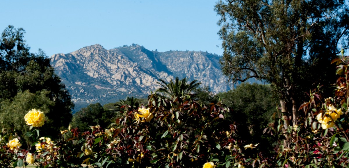 katetreickphotography